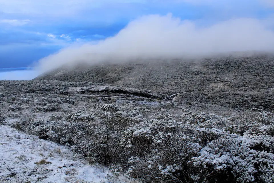 Vegetação coberta de neve no Parque Nacional de São Joaquim