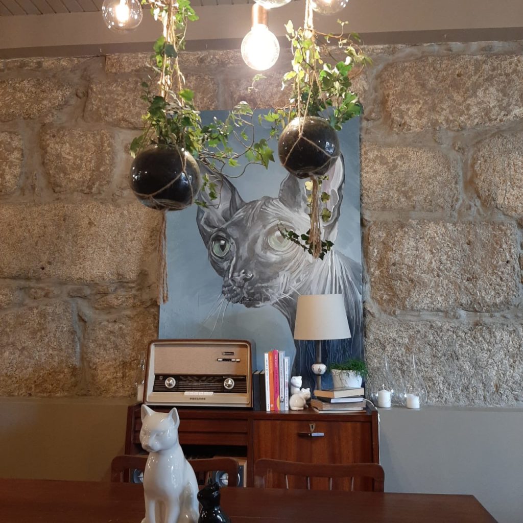 Dica de viagem em Portugal: café com gatos