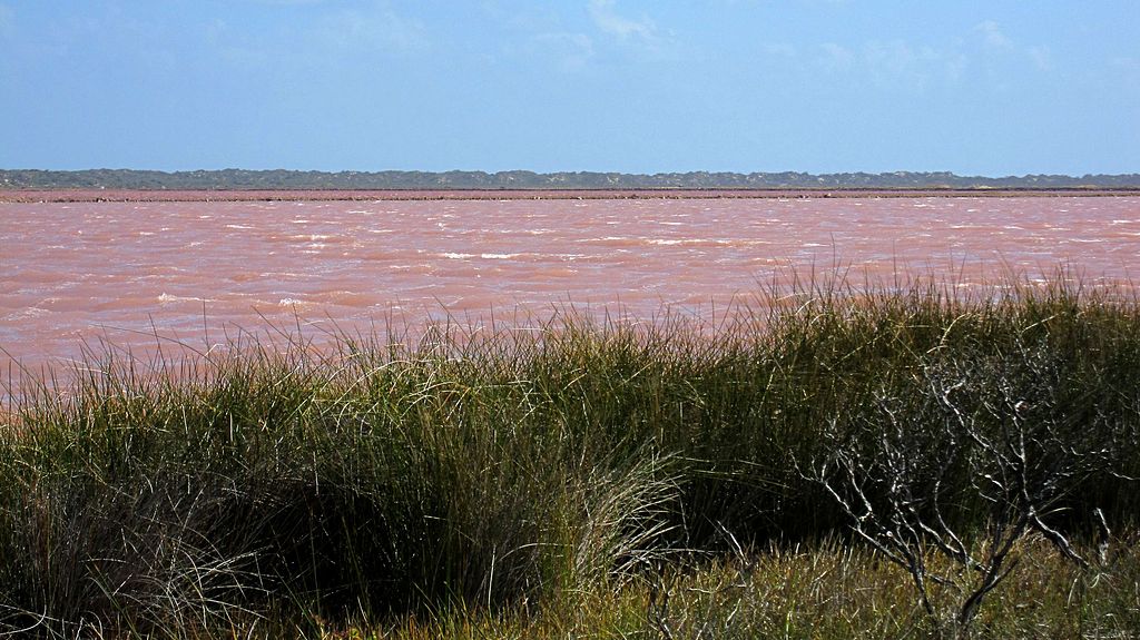 A Austrália tem vários lagos nesta coloração