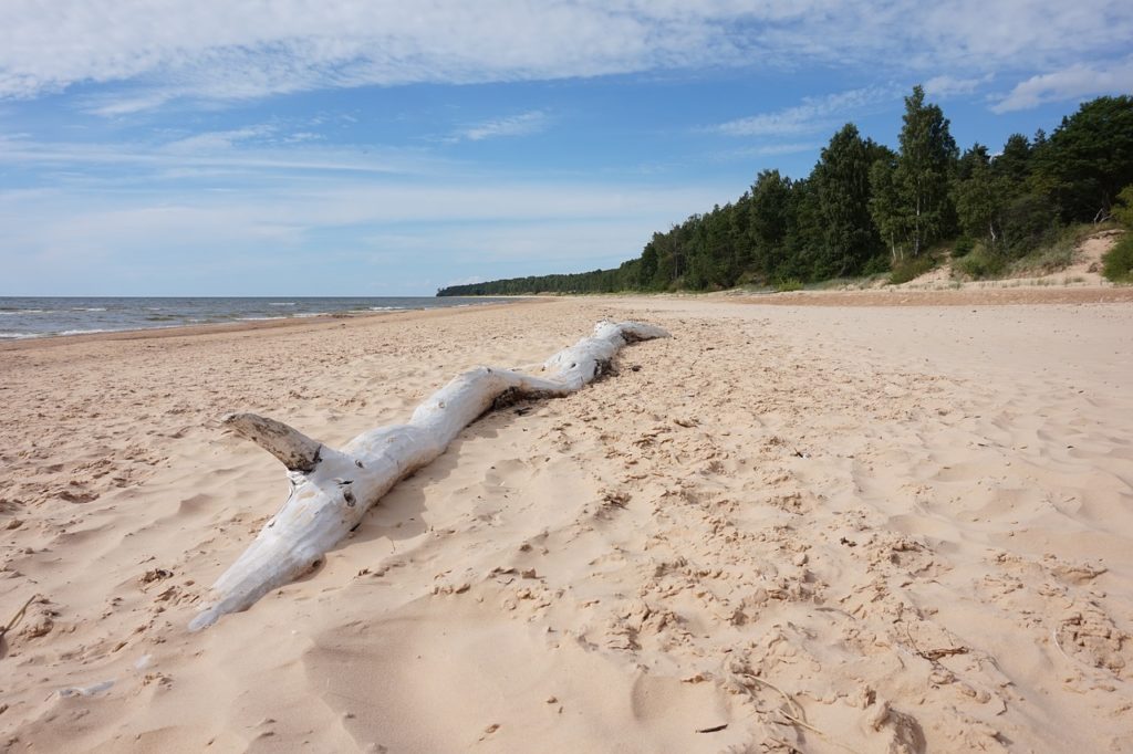 Entre o que fazer na Letônia está conhecer seu imenso litoral