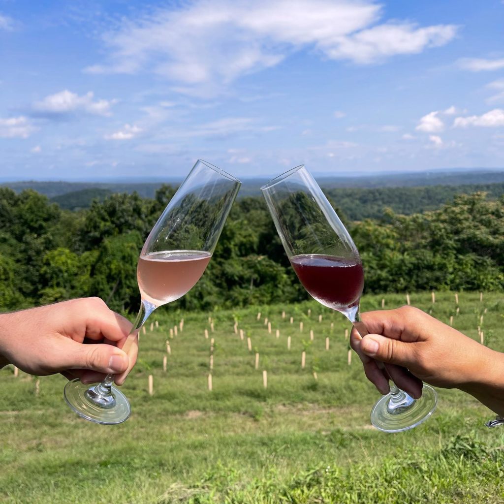 Região do Hudson Valley também tem representantes entre as melhores vinícolas do Estado de Nova York