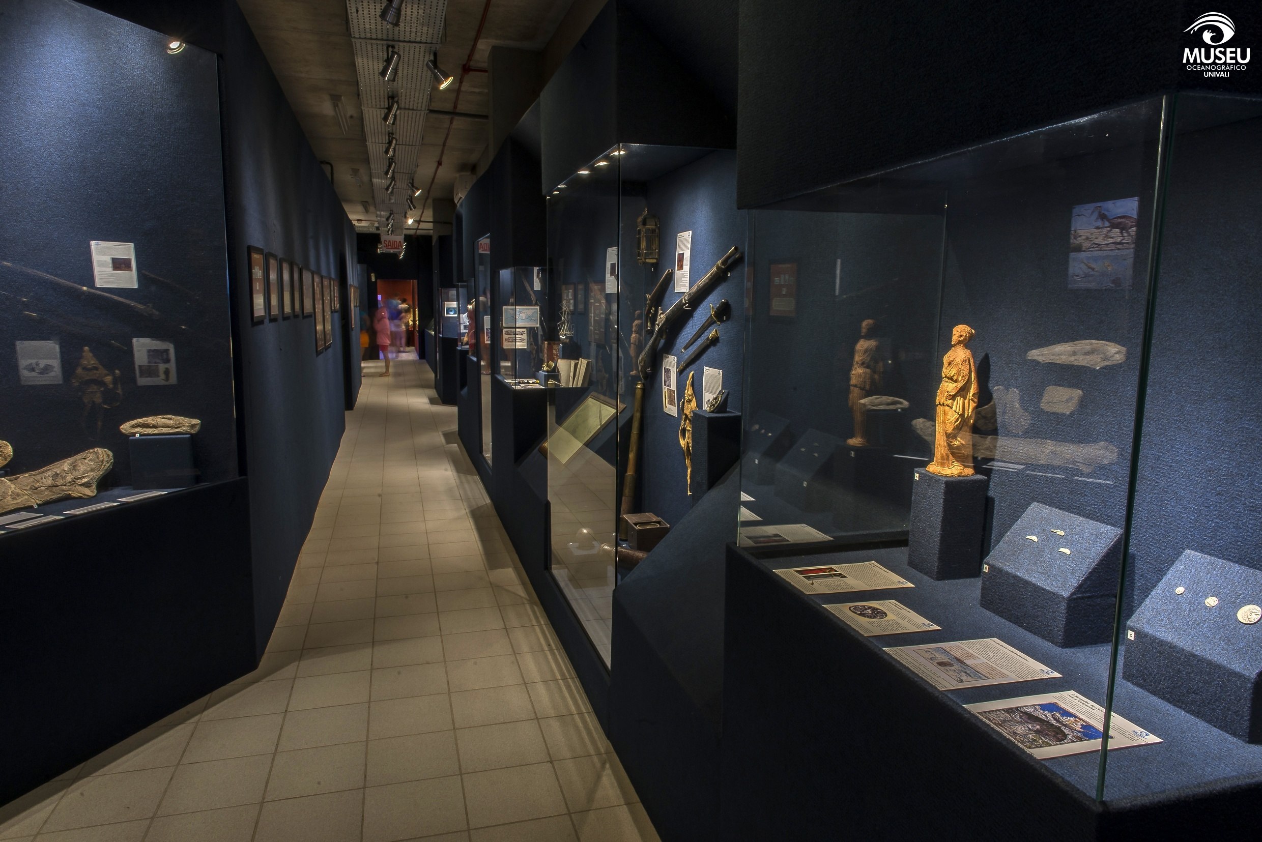 Qual a nova atração do Museu Oceanográfico: mais sobre a preguiça gigante
