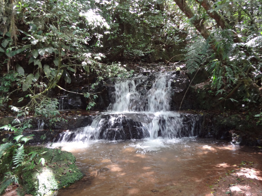 Quais as cachoeiras mais bonitas de São Bonifácio?